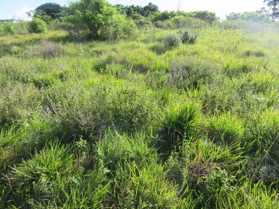 0 Bedroom Property for Sale in Forest Downs Eastern Cape